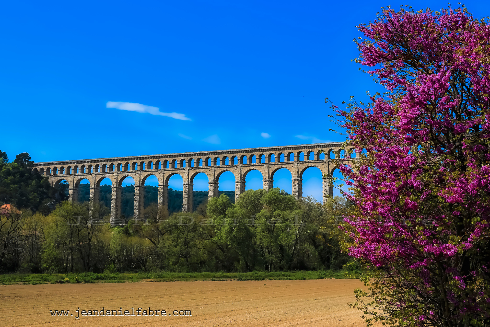 2014 04 13 5D3 8133 site