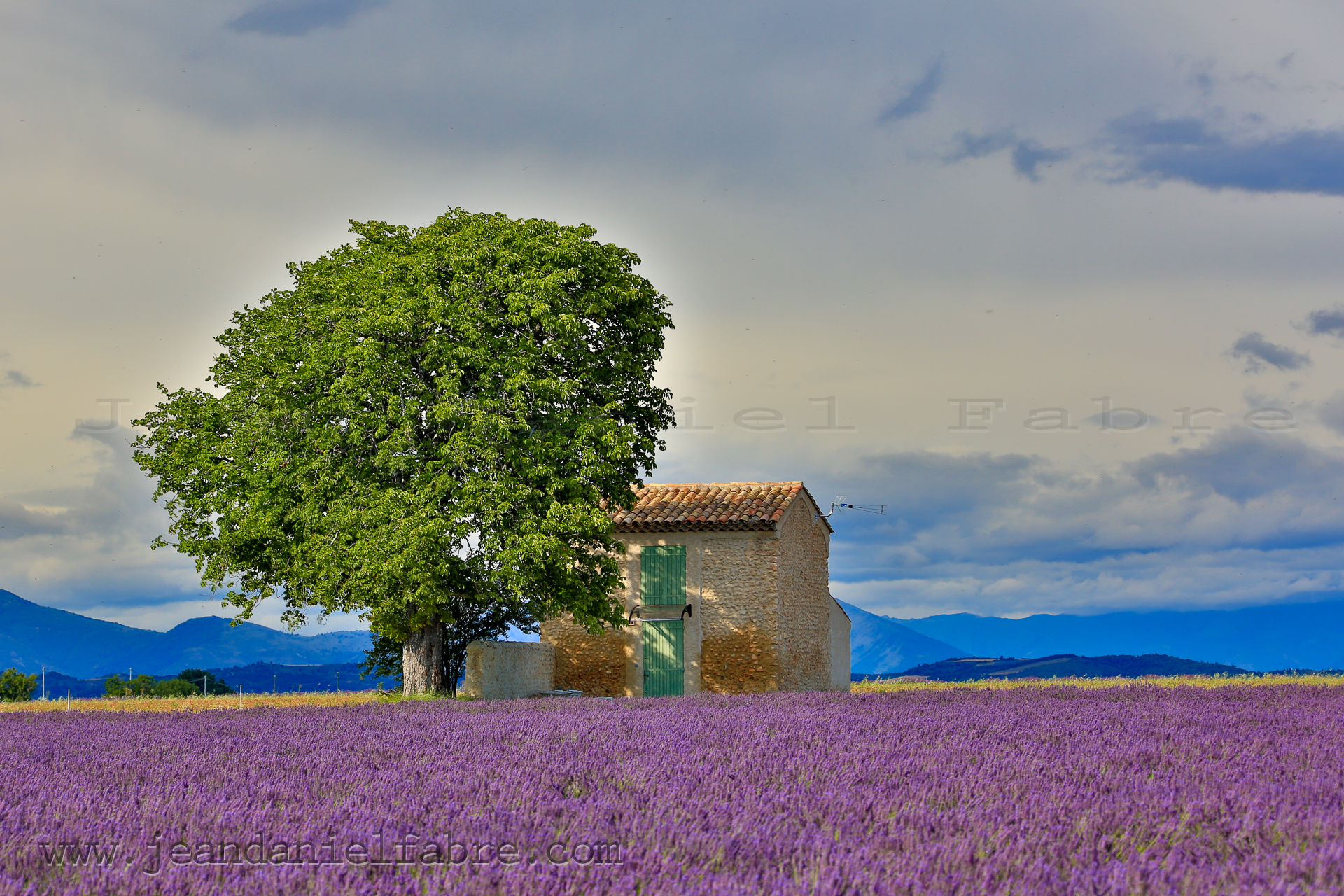 2014 07 09 5D3 9987 web jeandanielfabre