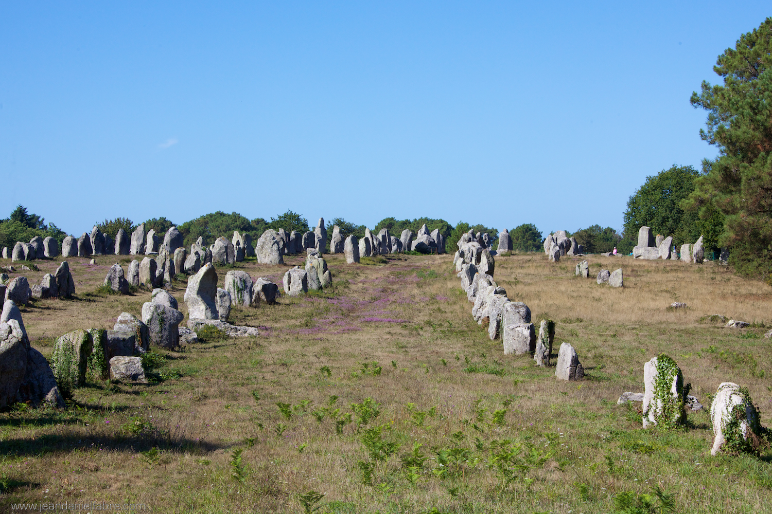 Les alignements de Carnac