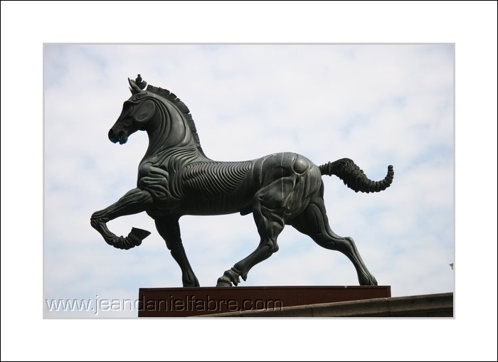 Expo à Marseille (2007)